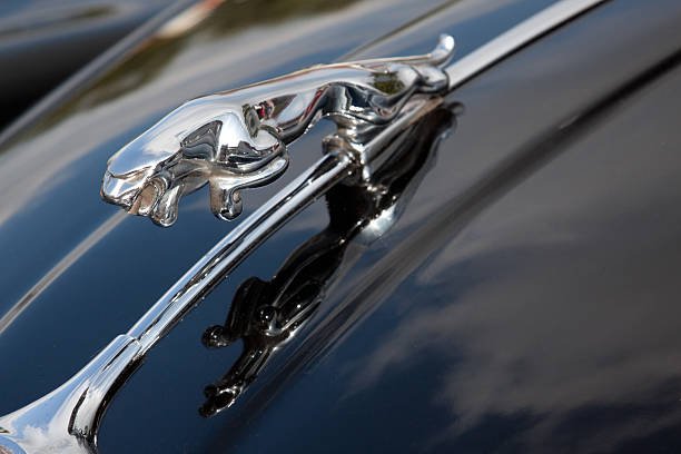 Jaguar Land Rover logo